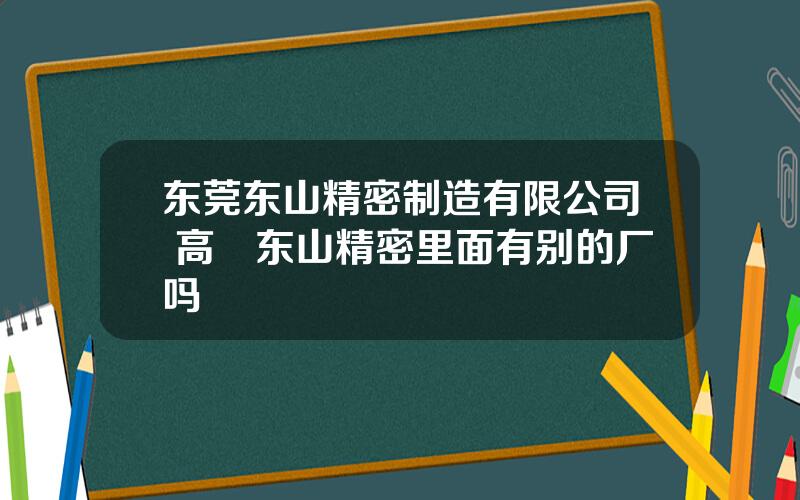 东莞东山精密制造有限公司 高埗东山精密里面有别的厂吗